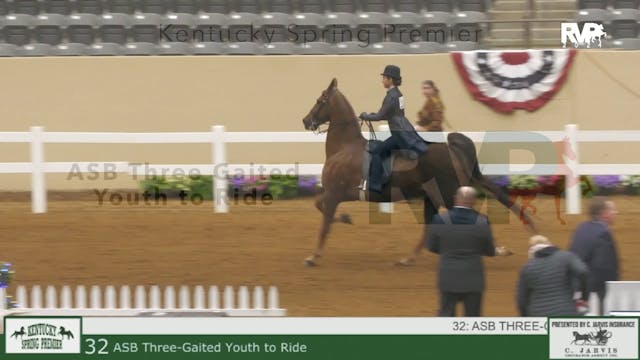 KYSP24 - Class 32 - ASB Three Gaited ...