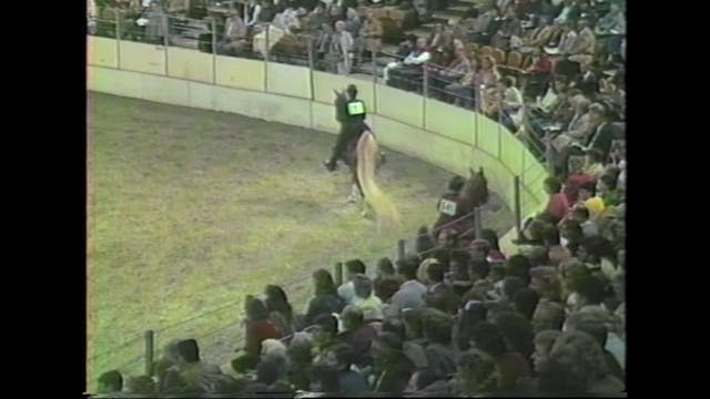 1986 American Royal - Amateur 3 Gaite...