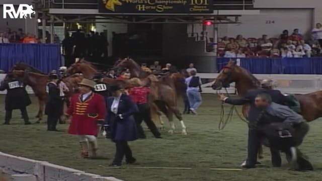 2004 World's Championship Horse Show ...