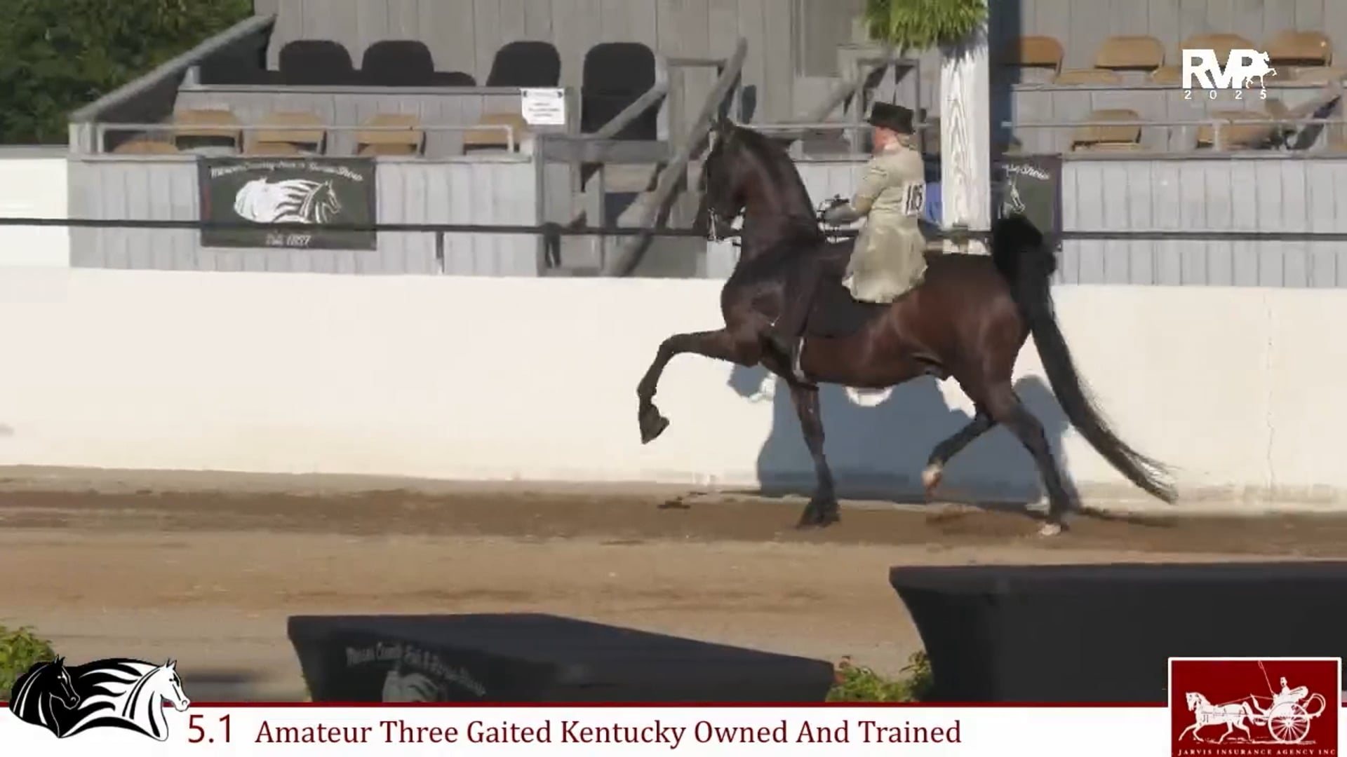 MCF25 - Class 5.1 - Amateur Three Gaited Kentucky Owned and Trained