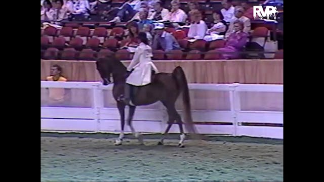1988 WCHS - Class 56 Five Gaited Show...