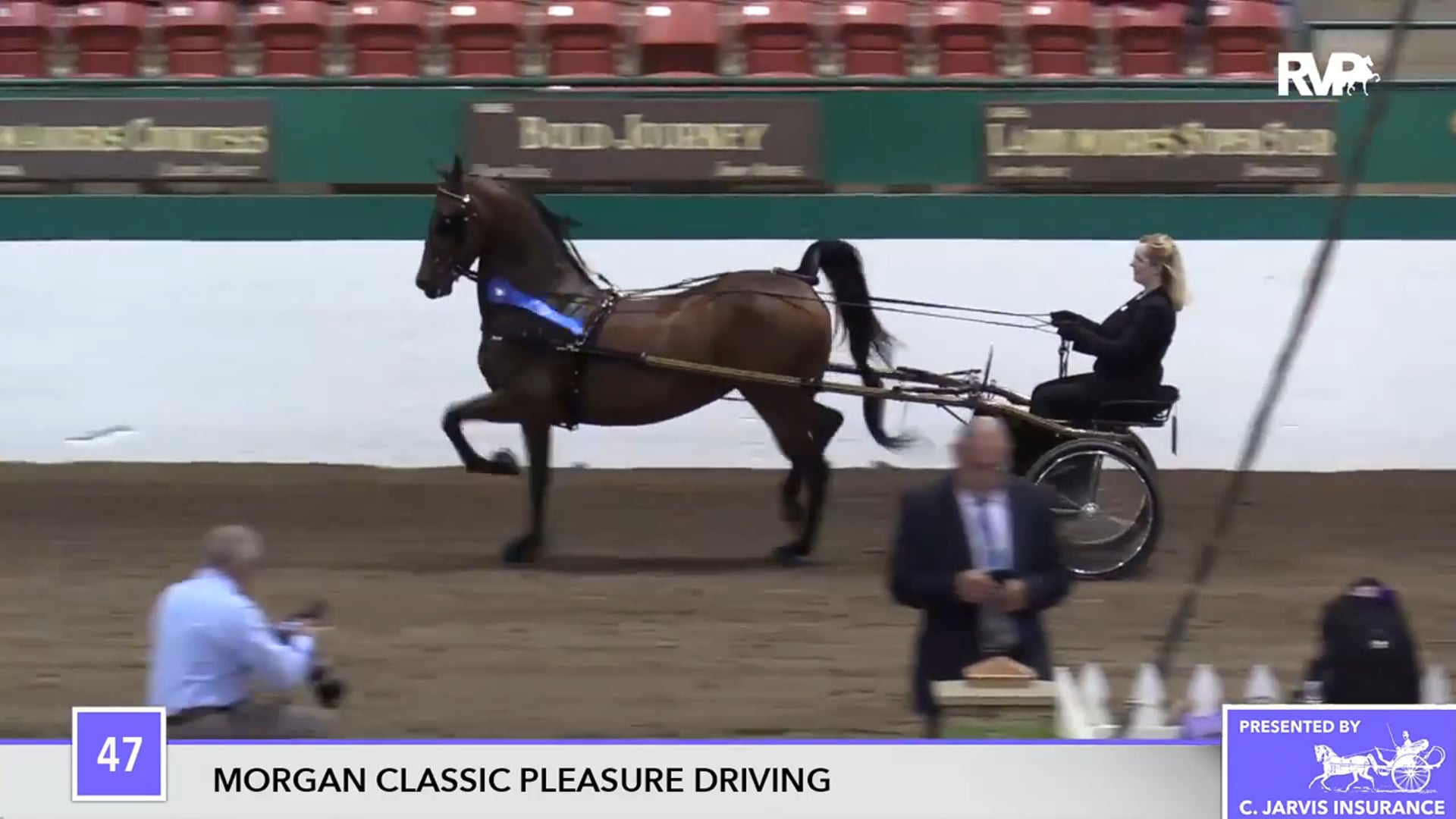 NCSC17 - Class 47 - Cherished Angel