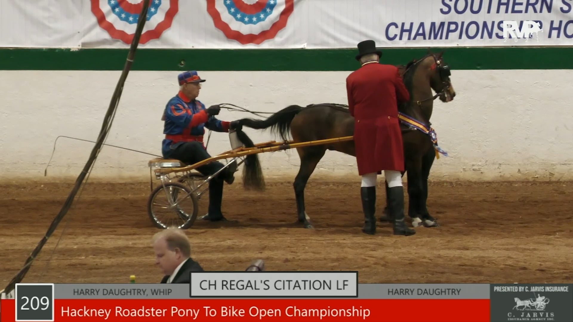 SS21 - Class 209 - Hackney Roadster Pony to Bike Open Championship