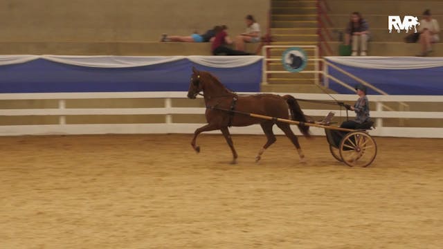 ASF23 - Class 34 -  ASB Country Pleas...