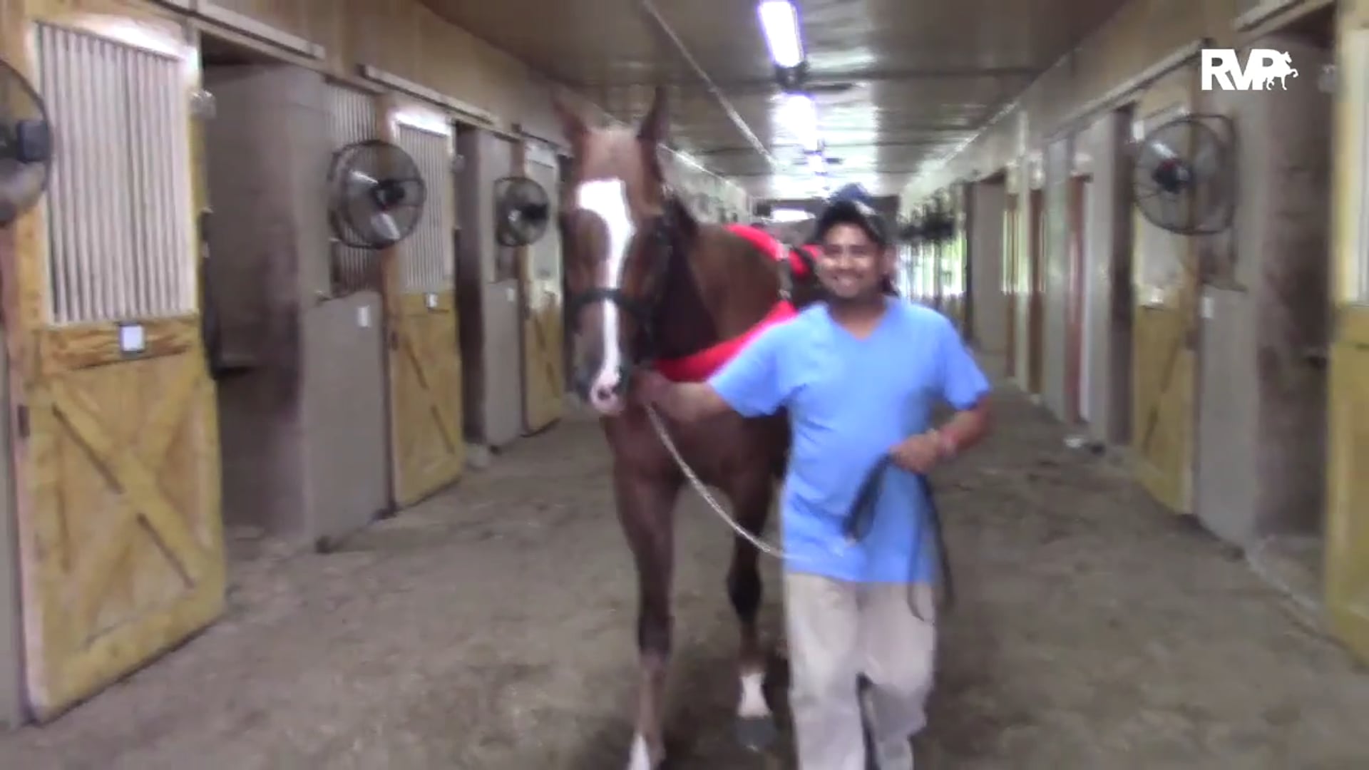 WCHS15 - Shipping In - Macadamia 