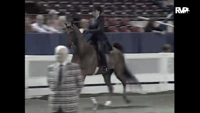 1997 WCHS - Class 152 National Horse ...