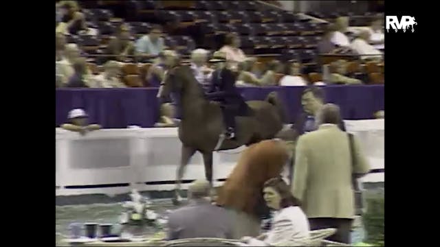 1999 WCHS - Class 30 Five Gaited Pony...