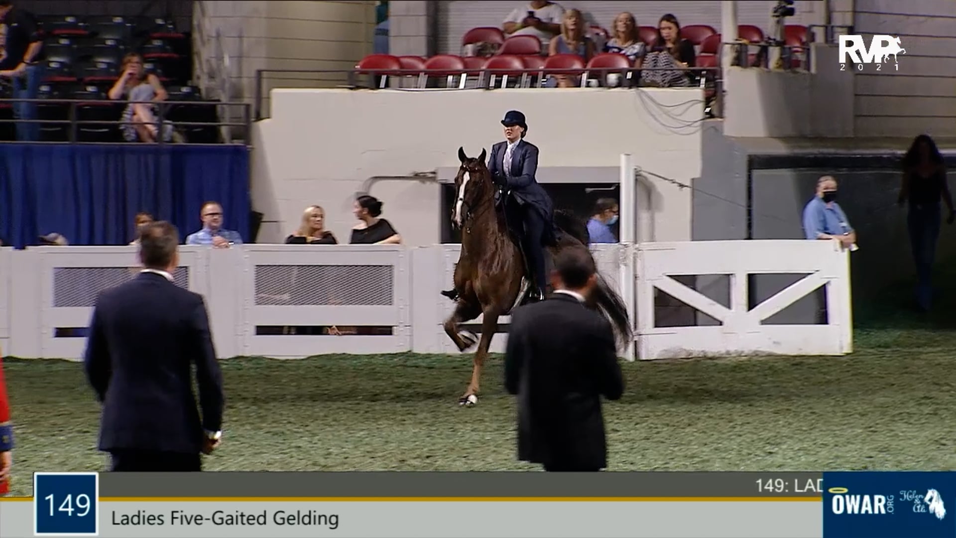 WCHS21 - Class 149 - Ladies Five-Gaited Gelding