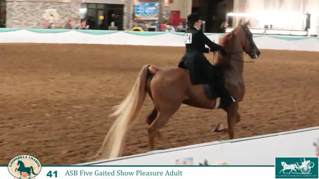 GC26 - Class 41 - Hot Damn and Morgan...