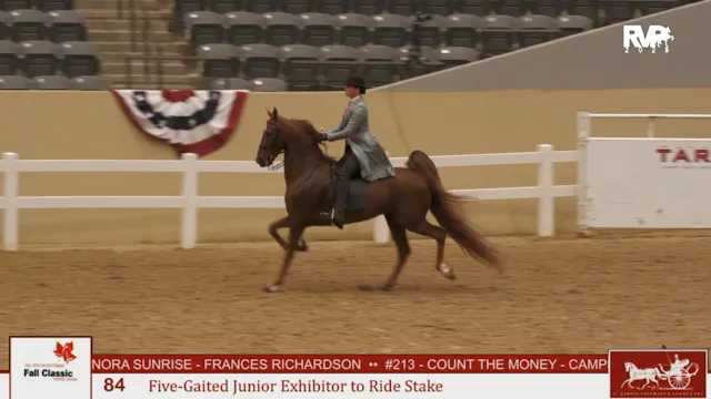KFC25 - Class 84 - Five Gaited Jr Exh...