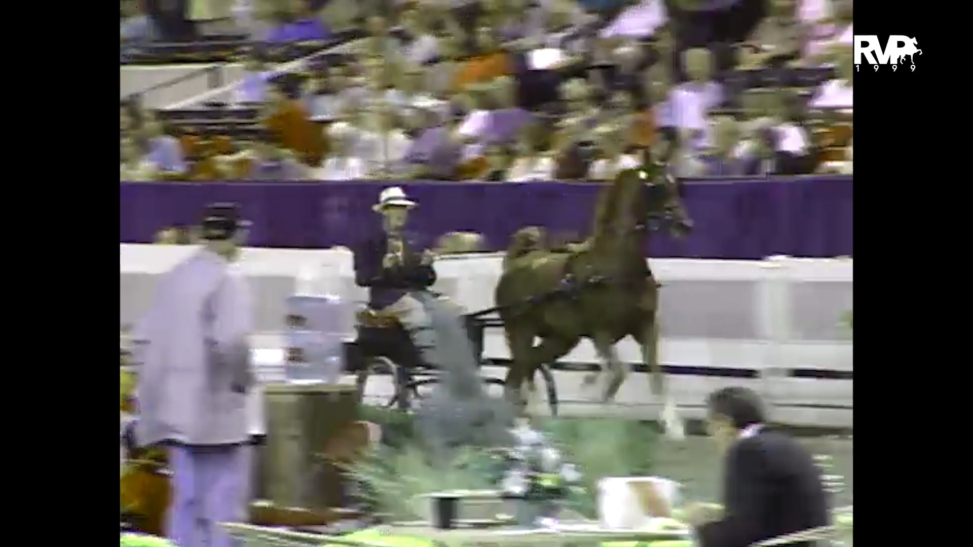 1999 WCHS - Class 208 Two Year Old Fine Harness Mare Stake