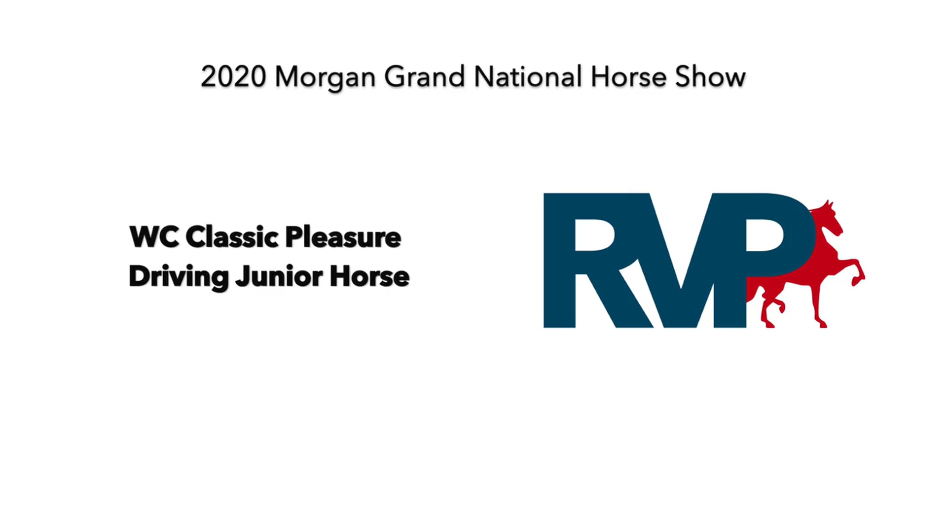 2020 MGN - Class 199 WC Classic Pleasure Driving Junior Horse
