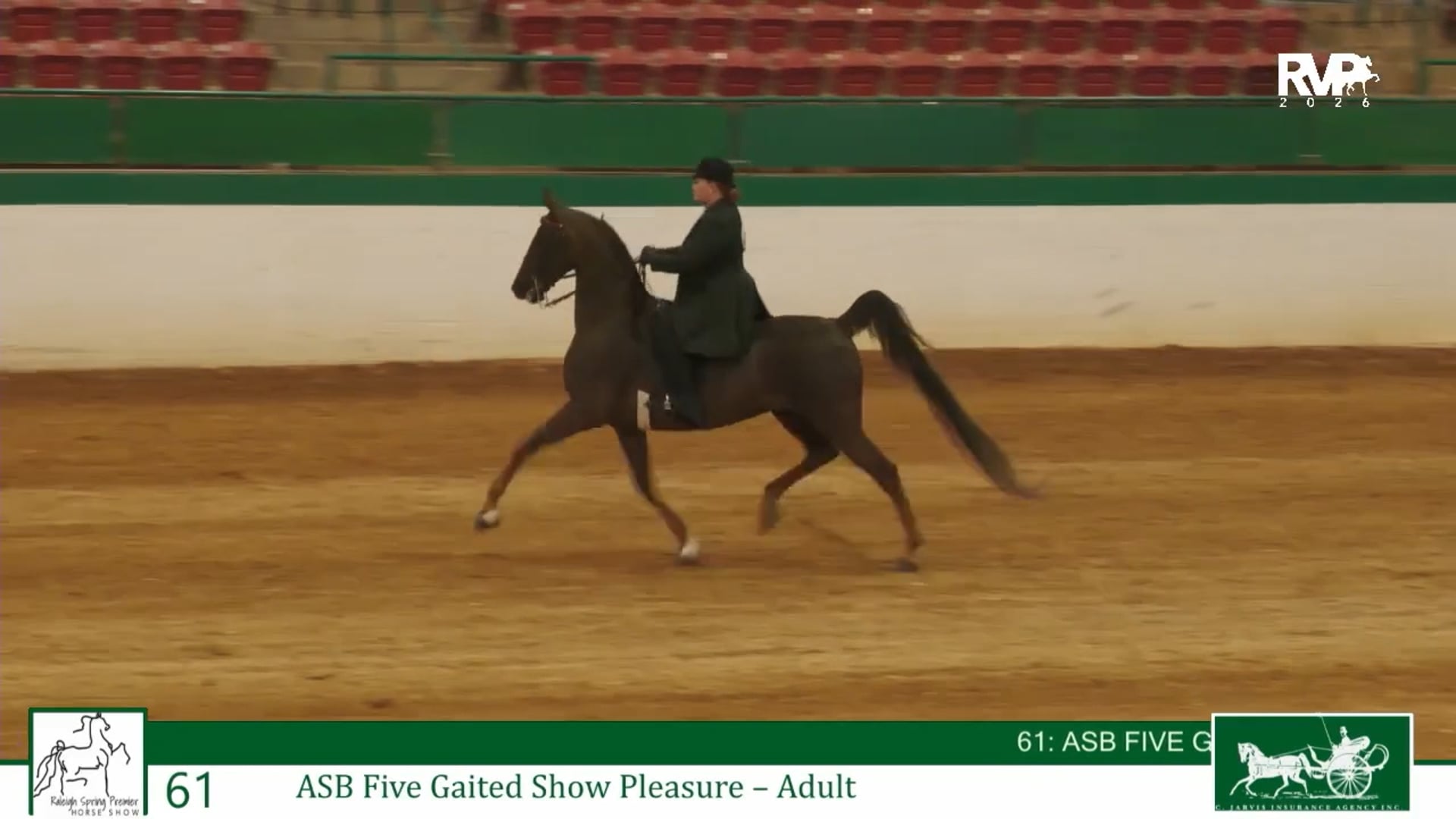 RSP26 - Class 61 - ASB Five Gaited Show Pleasure Adult