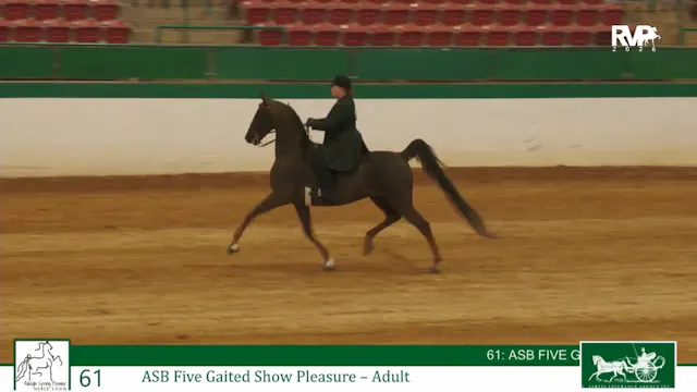 RSP26 - Class 61 - ASB Five Gaited Sh...