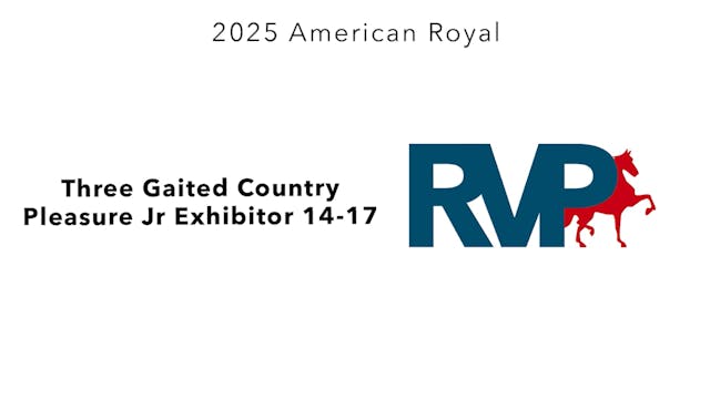 KC25 - Class 82 - Three Gaited Countr...