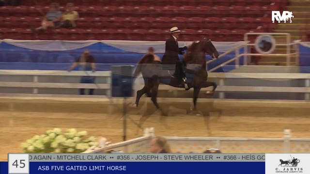 BR22 - Class 45 - ASB Five Gaited Lim...