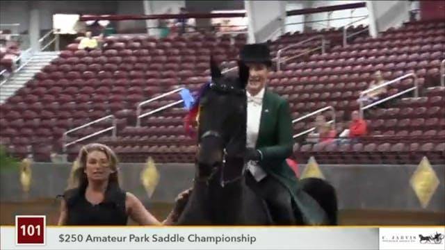 MJ19 - Class 101 - As Predicted GCH
