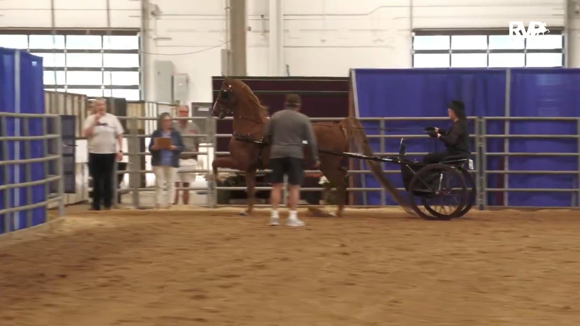 AAC25 - Class 114 - ASB Country Pleasure Driving Championship-ASHBA NSS National Championsihp Country Pleasure Driving