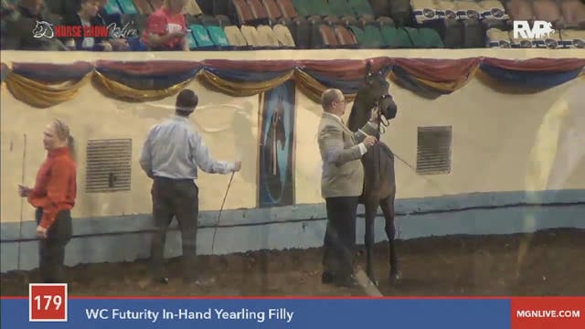 2015 MGN - Class 179 WC Futurity In-H...