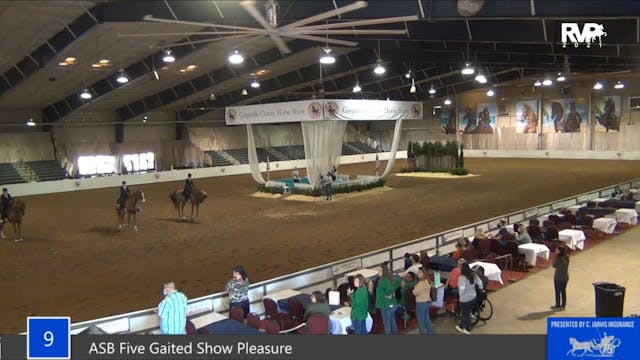 GASP21 - Class 9 - ASB Five Gaited Sh...