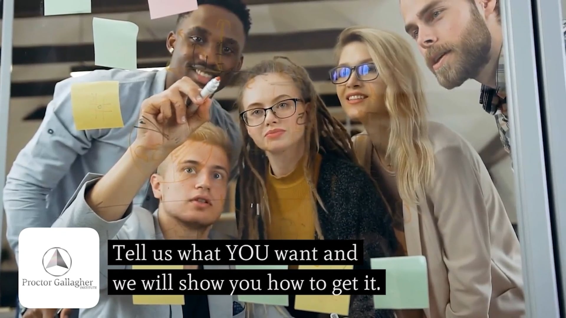 SS25 - Class 145 -  ASB 12 & Under Walk:Trot Pleasure Championship