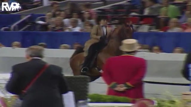 2004 World's Championship Horse Show ...