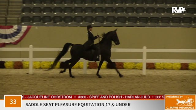2020 KFC - Class 33 Saddle Pleasure E...