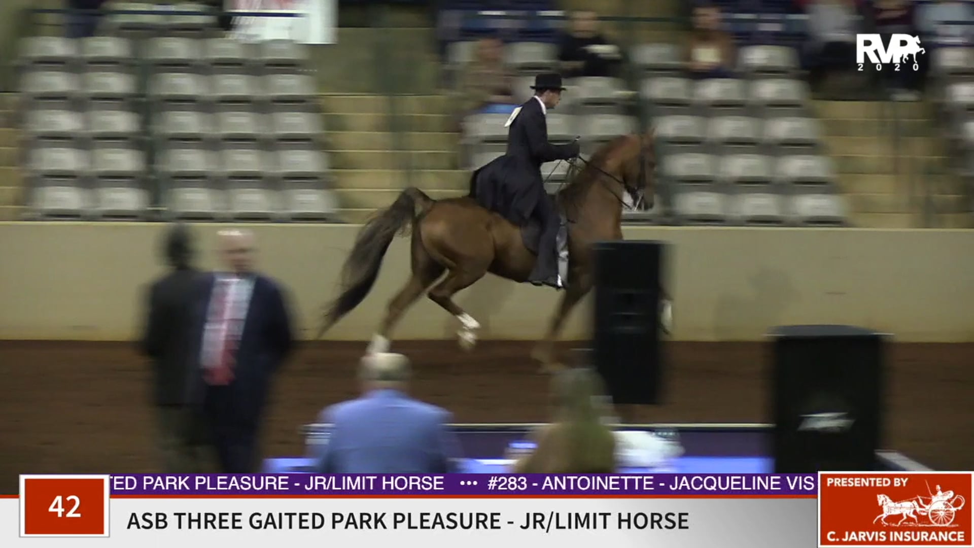 2020 SSFF - Class 42 ASB Three Gaited Park Pleasure
Junior:Limit Horse
