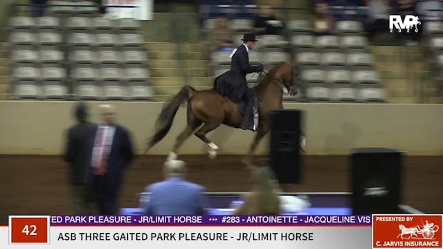 2020 SSFF - Class 42 ASB Three Gaited...