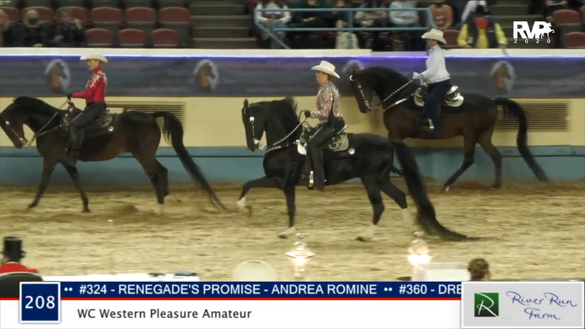 2020 MGN - Class 208 WC Western Pleasure Amateur