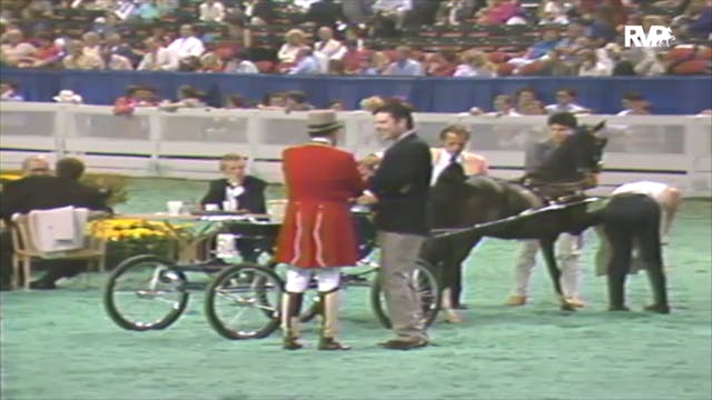 1992 WCHS Class 81 Amateur Ladies Fin...