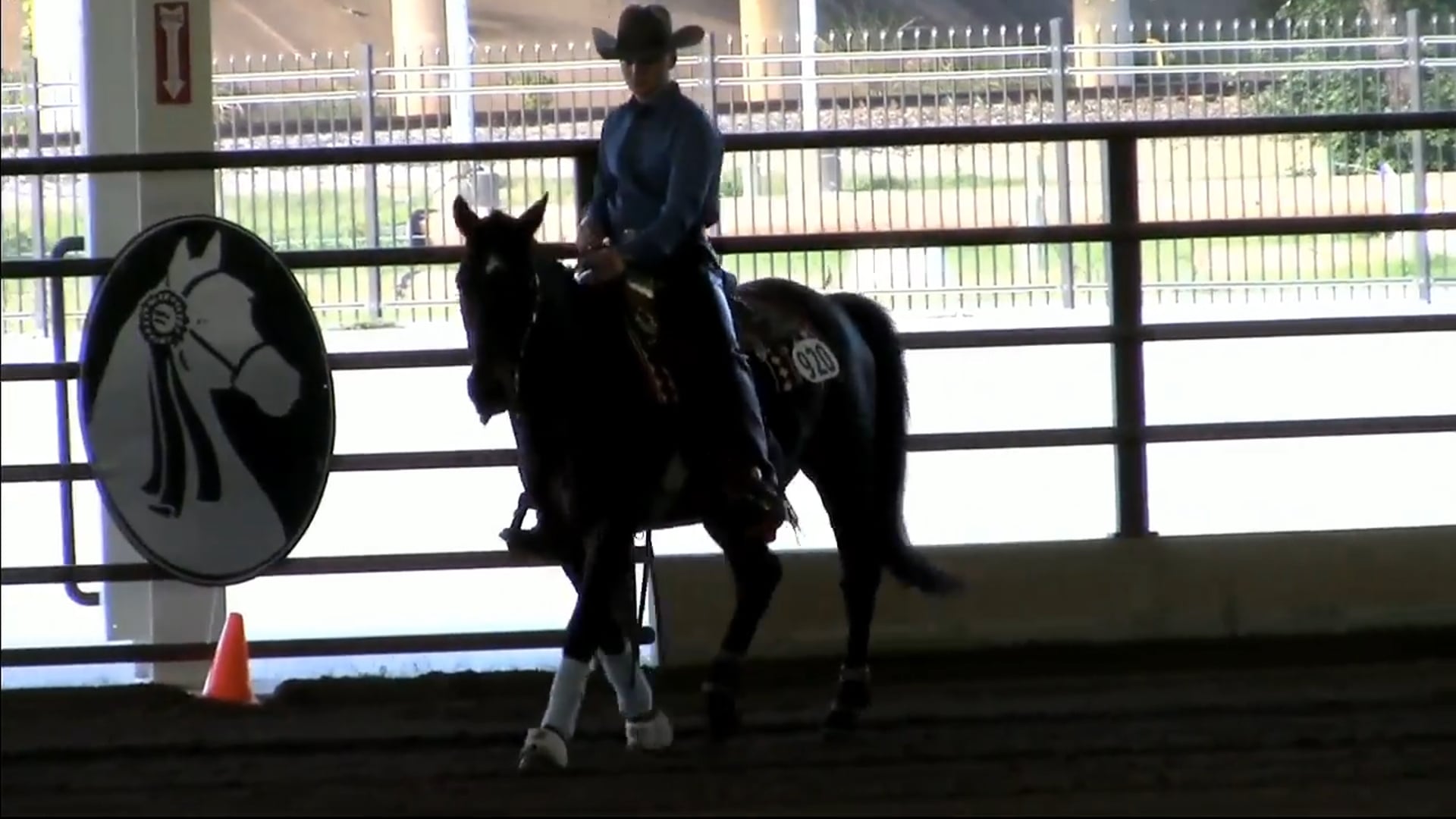2017 MGN - Sport Horse 2 - Thursday Morning