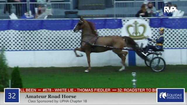 2020 AR - Class 32 Amateur Road Horse