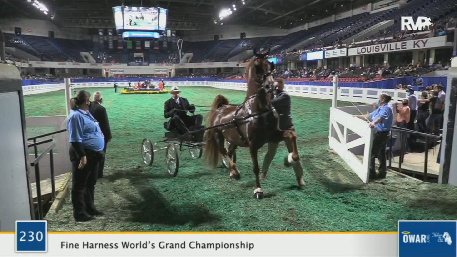 WCHS 2020 Class 230 - Fine Harness World’s Grand Championship