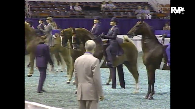 1999 WCHS - Class 74 Equitation Open ...