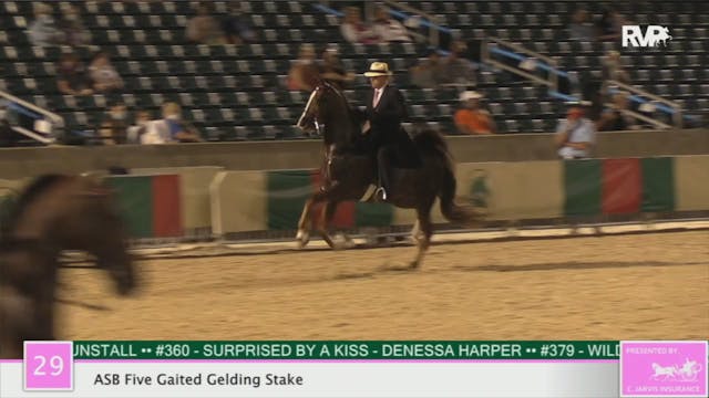 2020 LJL - Class 29 ASB Five Gaited G...