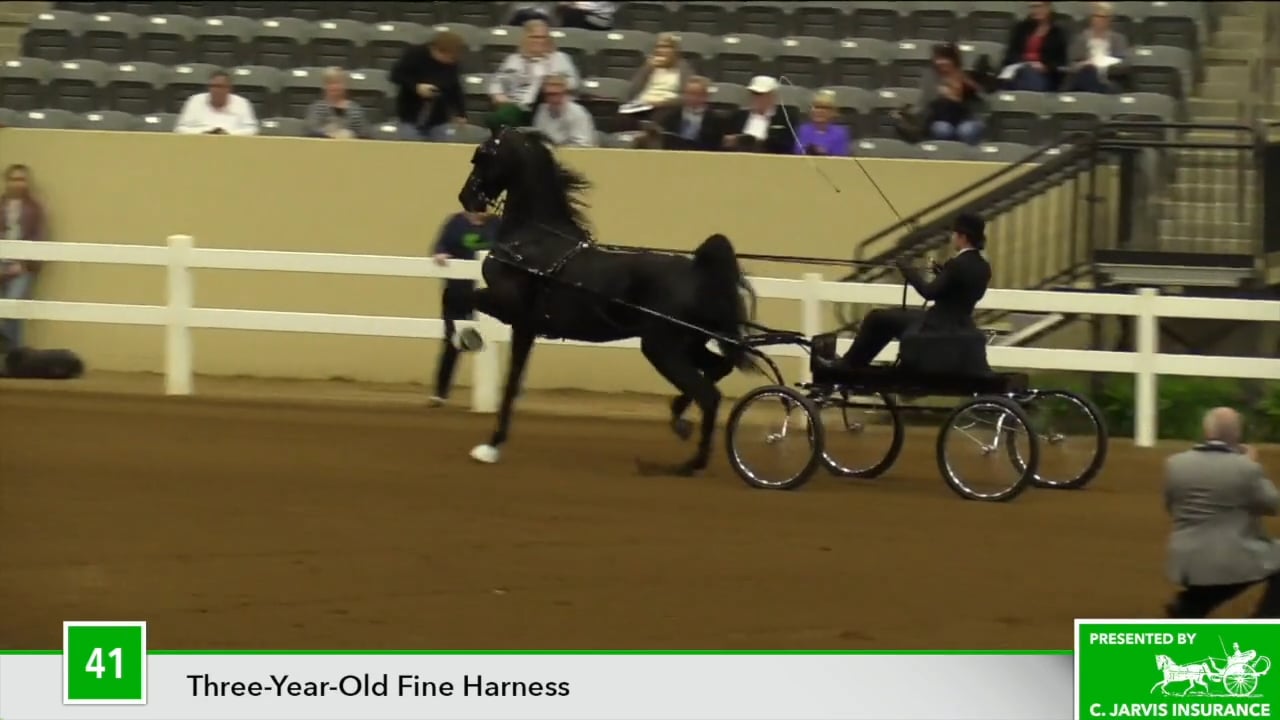 KYSP18 Class 41 They Call Me Brutus