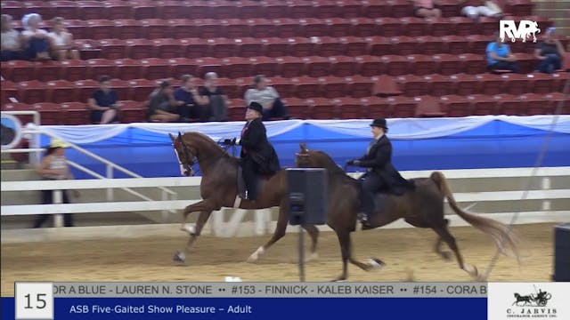 BR22 - Class 15 - ASB Five Gaited Sho...