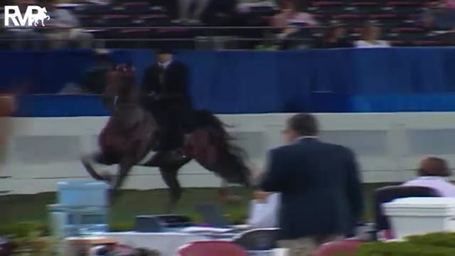 2004 World's Championship Horse Show ...