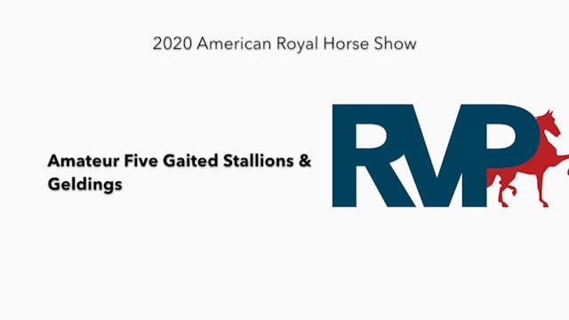 2020 AR - Class 69 Amateur Five Gaite...