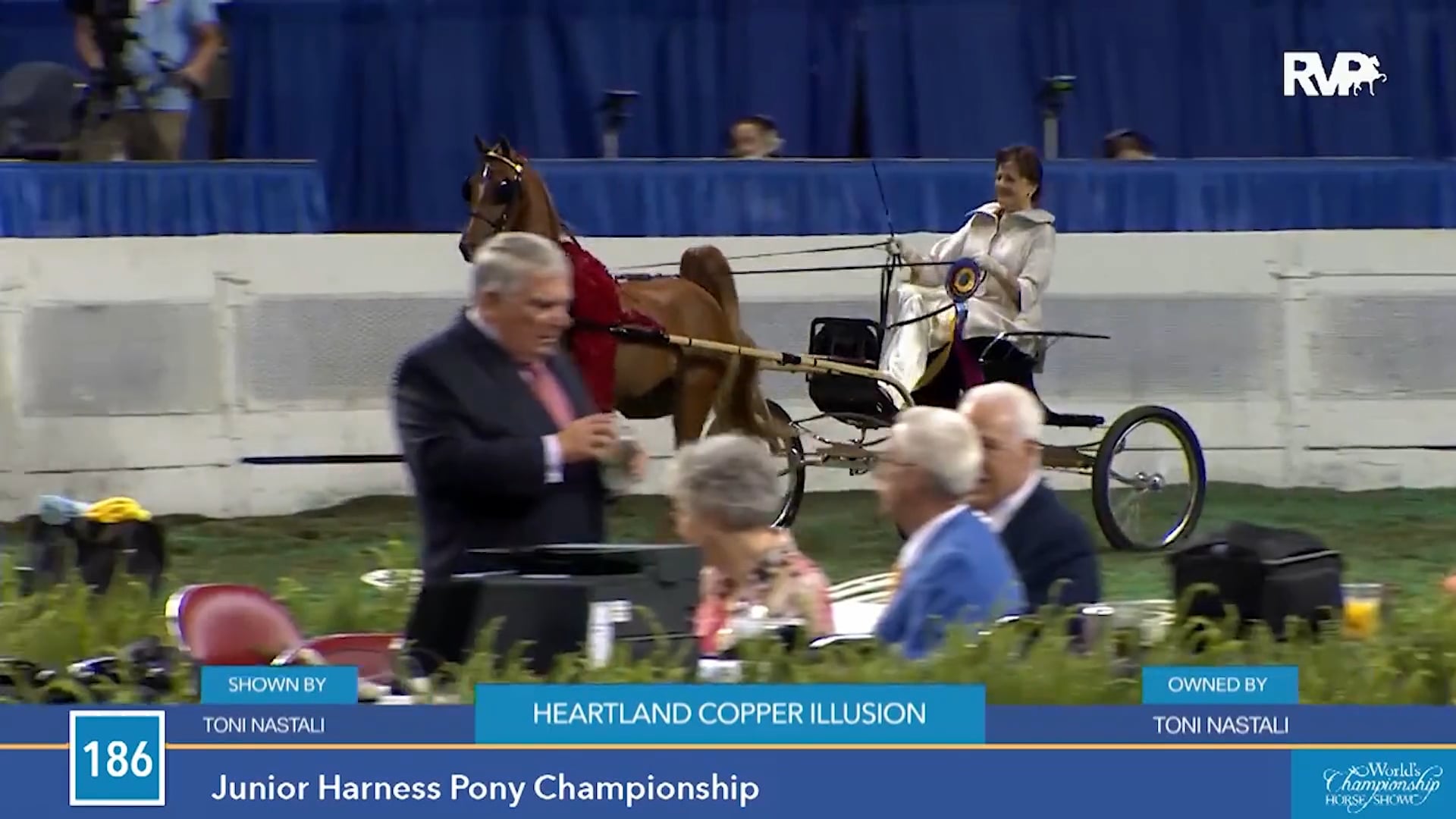 Toni Nastali - Lynda Luhman Award 2018