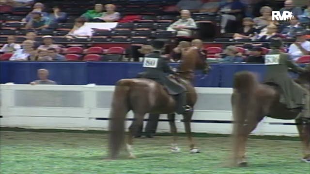 2000 WCHS Class 115 Five Gaited Show ...