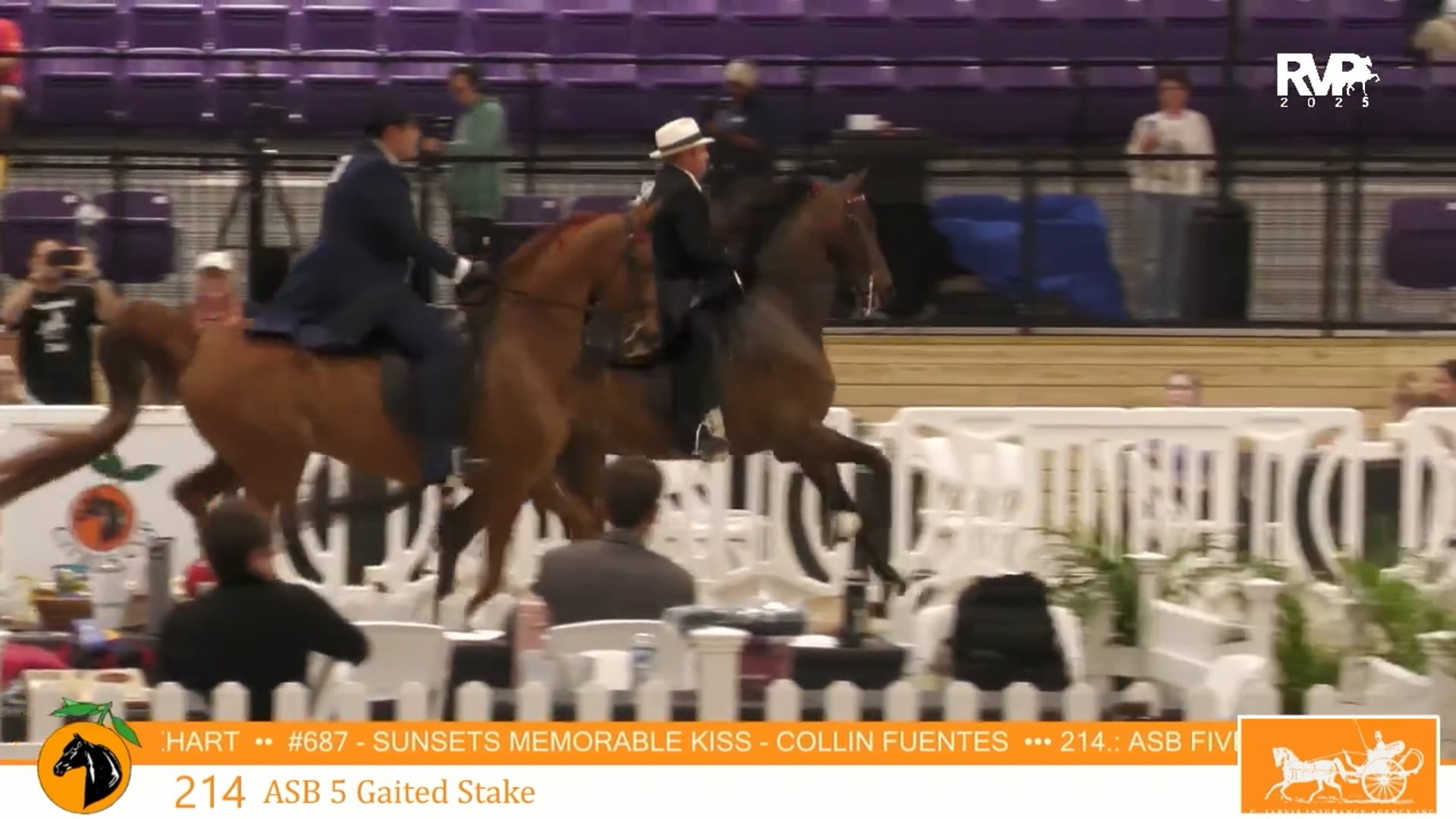 CC25 - Class 214 - ASB Five Gaited Stake