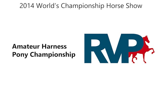 WCHS14 - Class 201 - Amateur Harness ...