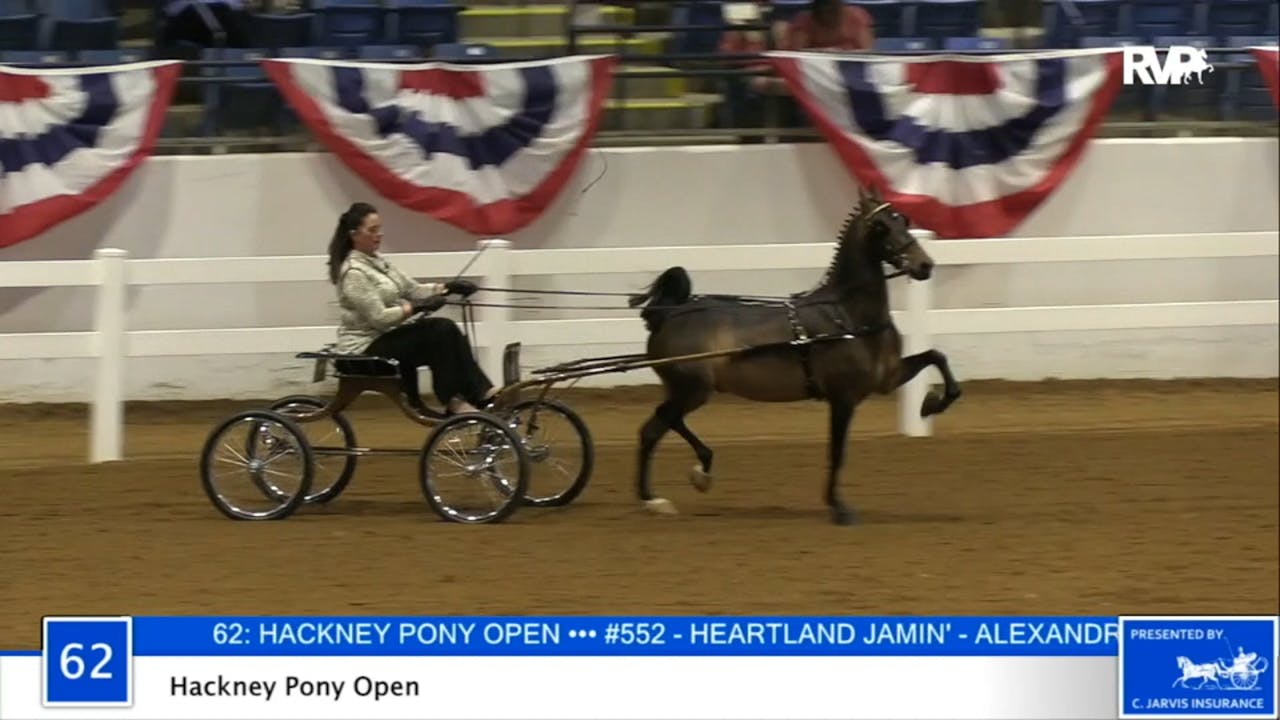 Class 62 Hackney Pony Open Richfield Video Archive Class 62 Hackney Pony Open Richfield Video Archive