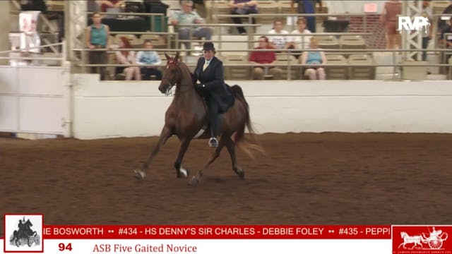 MW24 - Class 94 - ABS Five Gaited Novice