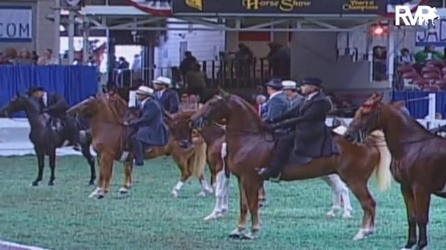 2009 World's Championship Horse Show ...