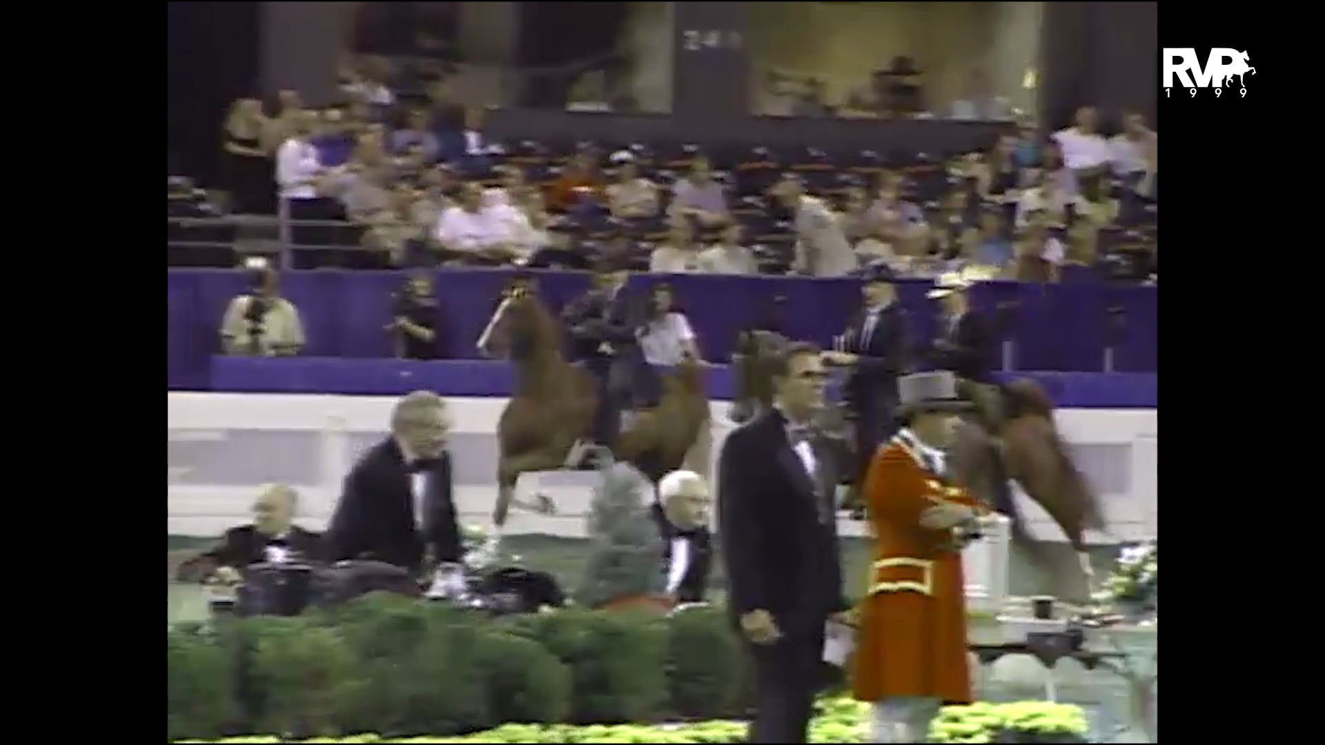 1999 WCHS - Class 57 Junior Three Gaited Over 15.2 Stake