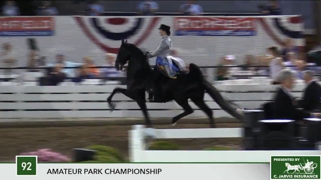 2017 RC - Class 92 Amateur Park Champ...