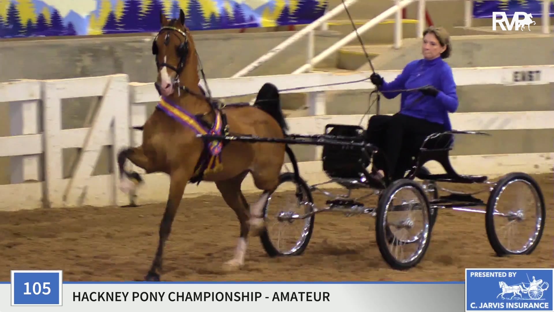 ASC19 - Class 105 - CH Heartland Globe Trotter